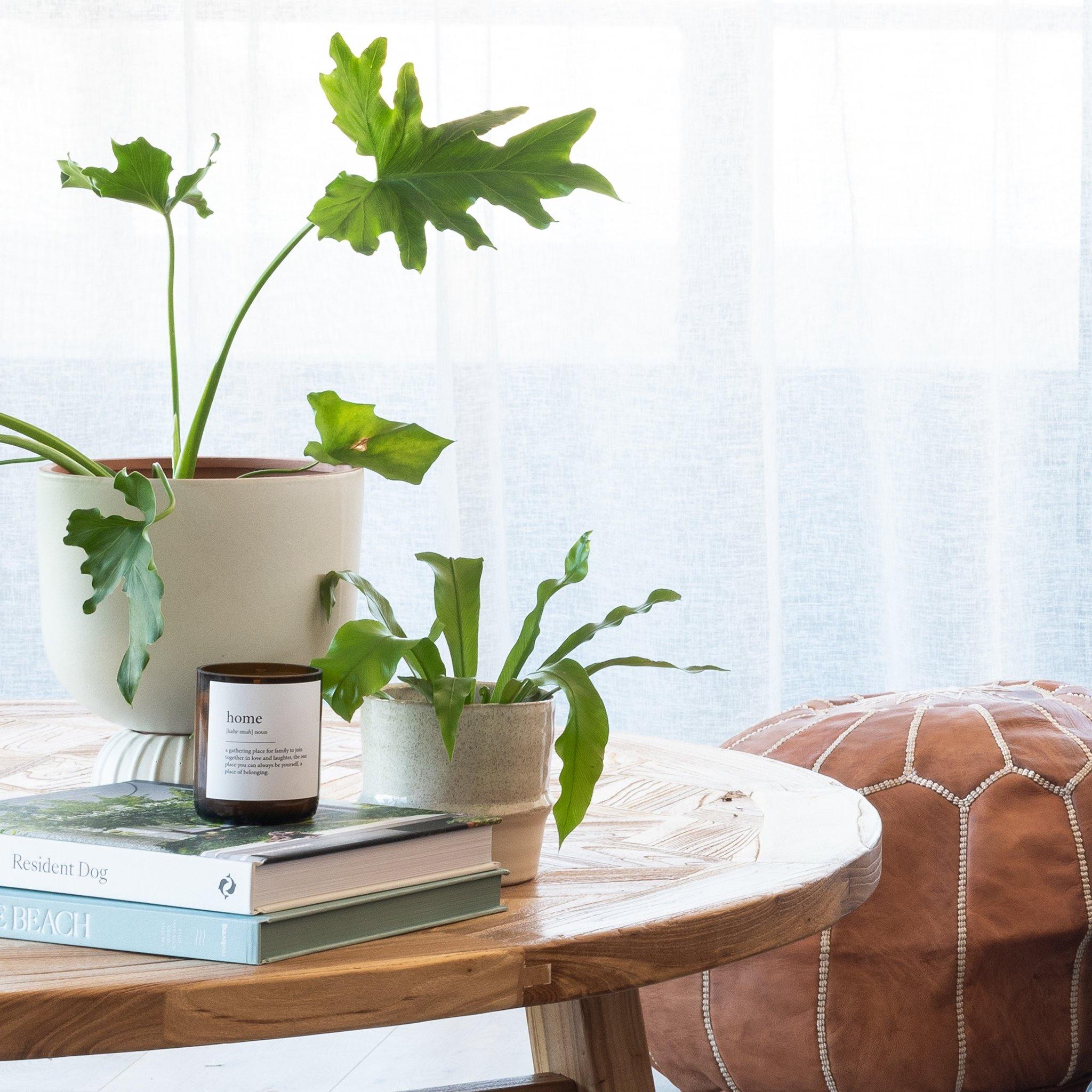 Buy "Home" Dictionary Mid Soy Candle - Brightups